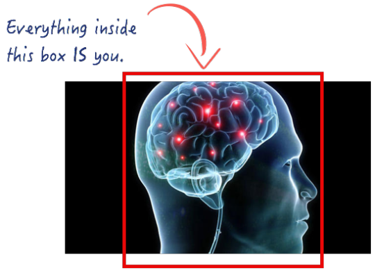 A brain scan with a red box drawn around it and a handwritten annotation reading &ldquo;Everything inside this box IS you.&rdquo;